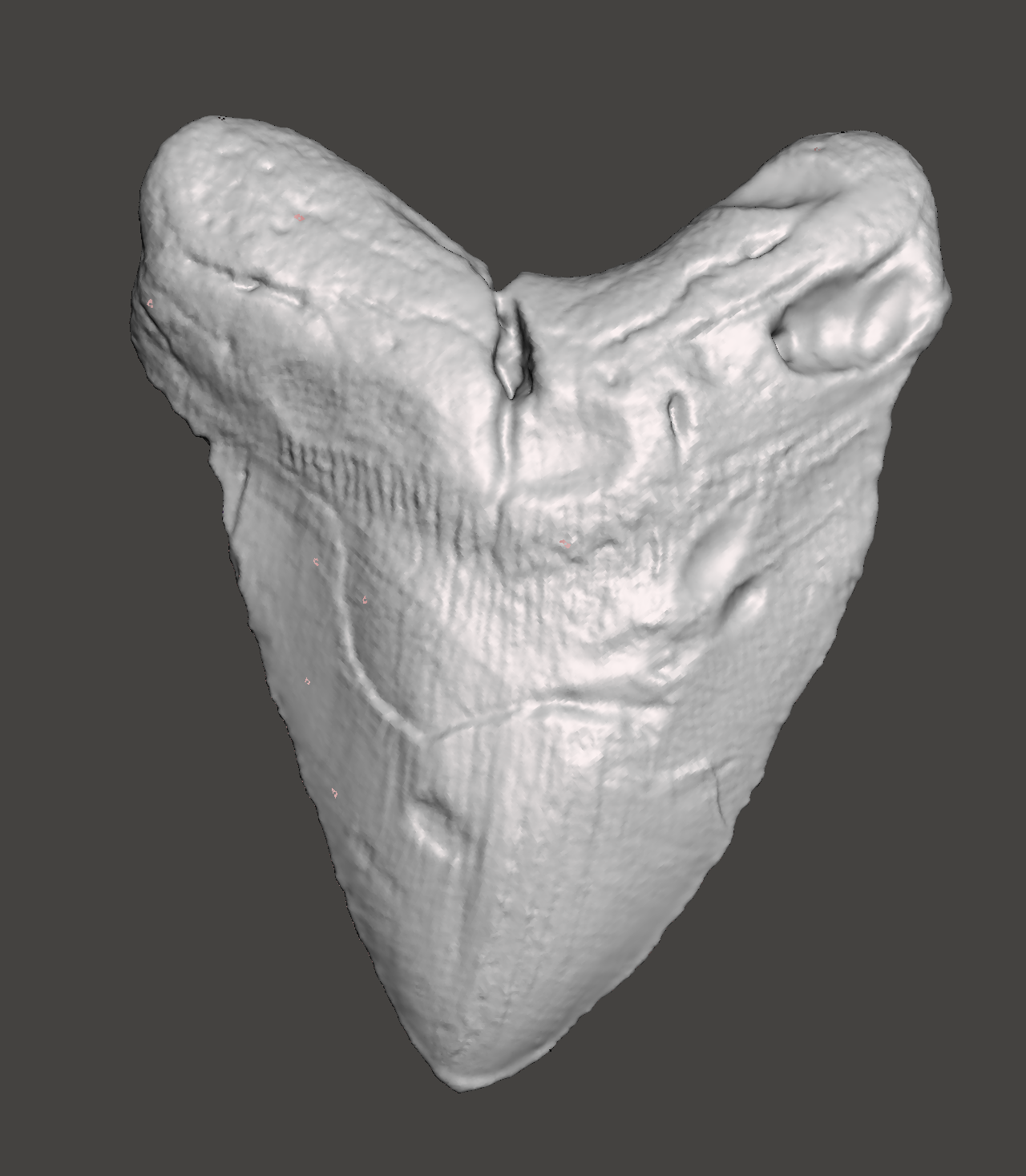 Megalodon Shark Tooth STL File