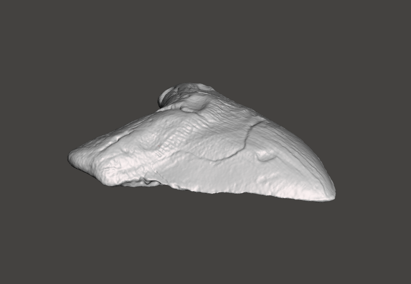 Megalodon Shark Tooth STL File